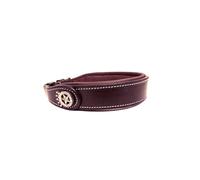 Collier pour chien Silver Crown Carlotta Marron 40 cm