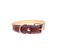 Collier pour chien Silver Crown Karl Marron 60 cm
