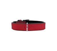 Collier pour Chien Softie Rouge (36-44 cm)