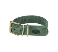 Collier pour Chien Trixie Pure Vert XS/S 27-34 cm