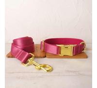Collier pour Chien Unique, Pratique pour Promener Le Chien, Accessoire de Laisse pour Petit, Moyen et Grand Chien, 5 Tailles - Ensemble Collier et Laisse pour Chien - XL