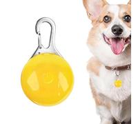 Collier pour Chien - Veilleuse LED de sécurité pour Animaux de Compagnie, Batterie Rechargeable Longue durée, Conception étanche et Durable | Portable à Clipser pour Chiots de Petite, m