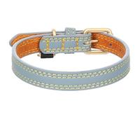 Collier pour Chien Virginia en Cuir S/M 31-39cm 20mm Bleu