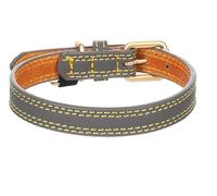Collier pour Chien Virginia en Cuir S/M 31-39cm 20mm Gris