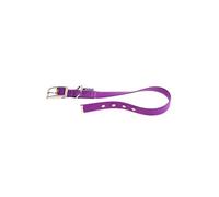 Collier pour Chiens EVOLUTION CF25/53, Hypoallergénique, Lavable, Ajustable, Violet Violette