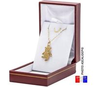 Collier pour en enfant pendentif nounours ourson en plaqué or véritable avec chaine 40cm et boite pour offrir