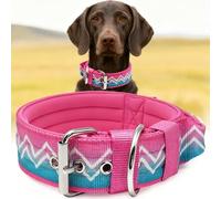 Collier pour Grands Chiens NeckShield Kontroll - Collier pour Chien De 5 cm De Large avec Rembourrage Extra Épais Et Poignée, Sécurité Certifiée SGS, Protection Professionnelle,50-58cm,Rose-Sarcelle
