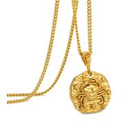 Collier pour homme en acier inoxydable avec pendentif en relief 12 constellations, cadeau idéal pour homme et femme, Acier inoxydable, Pas de gemme