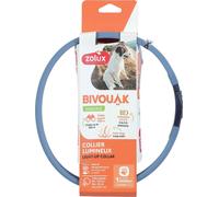 Collier Lumineux Pour Chiens Poils Longs Bivouak