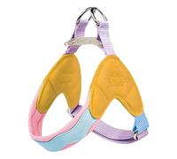 Collier pour petit chien - Laisse légère - Harnais imperméable pour traîneau pour chiens - Pour promenades en ville - Corde de promenade pour animaux domestiques