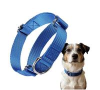 Collier pour petits chats - Fournitures pour chiots anti-poing Collier réglable pour chatons - Pour amoureux des animaux, dresseurs, soignants, éleveurs, jardin, usage , promenades nocturnes