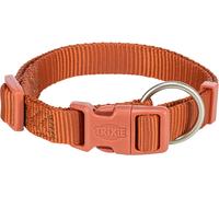 Collier premium 22-35 cm/10 mm rouille