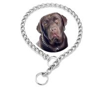 Collier Ras du Cou en chaîne pour Chiens de Grande Taille, en métal argenté avec Lien Coulissant - Collier de Dressage Robuste pour Chiens de Petite, Moyenne, Grande Taille et XL