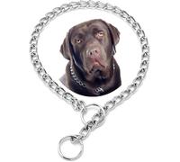 Collier Ras du Cou en chaîne pour Chiens de Grande Taille, en métal argenté avec Lien Coulissant - Collier de Dressage Robuste pour Chiens de Petite, Moyenne, Grande Taille et XL