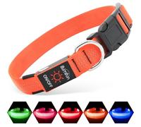 Collier réfléchissant à LED pour chien, rechargeable par USB, collier de sécurité lumineux réglable pour chien pour que votre chien soit en sécurité et vu dans le noir (orange3, taille L)