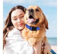 Collier réfléchissant pour Animaux de Compagnie, Collier réglable pour Chiot, Collier réfléchissant pour Animaux de Compagnie, de Confort réglable pour Chien, Collier pour Chien à Boucle en NY