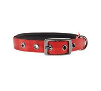 Collier réglable en nylon avec rembourrage en néoprène pour chiens Ferribiella