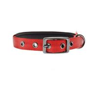 Collier réglable en nylon avec rembourrage en néoprène pour chiens Ferribiella
