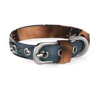 Collier réglable pour chien avec boucle en métal pour animaux de compagnie de petite et moyenne taille