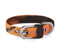 Collier réglable pour chien et chat Motif dragon volant et coucher de soleil