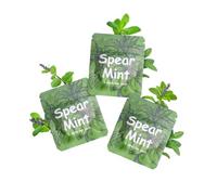 Collier réglable sans fumée pour arrêter de fumer - Chaîne de sevrage du tabagisme sans nicotine avec filtre à goût - Alternative sans vaporisateur à cigarette - Outil pour fumer pour adultes