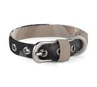 Collier réglable Shih Tzu pour chiens et chats de petite et moyenne taille
