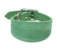 Collier rembourré pour Chien en Cuir véritable, Collier pour Chiot Lurcher, lévriers Italiens, Accessoires Confortables pour Chiens de Compagnie, Collier Whippets Lurcher Sighthounds