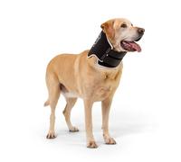 Collier Rigide Anti-léchage pour Animal de Compagnie Ø 35-45 cm | Taille S - BT Neck Black Eco