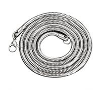 Collier rond en acier inoxydable avec os de serpent Collier clavicule mâle Accessoires féminins en acier titane - ArgentDisponible et professionnel.