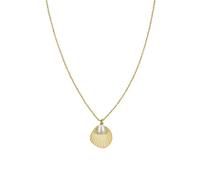 Collier - ROSEFIELD - JSPNG-J159 - Acier plaqué or - Coquillage - Ambre