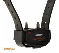 Num'axes Collier CANICOM – Collier supplémentaire de dressage pour chien, sangle noire