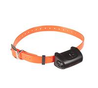 COLLIER SEUL/ SUPPLEMENTAIRE COLLIER SEUL CANICOM 5 avec sangle orange
