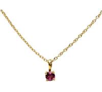 Collier Silver Birthstone Birth Stone Four Griffe-glaw Pravicle chaîne Guardian Choker Jewelry Gift for Women Birthday Christmas Saint Valentin