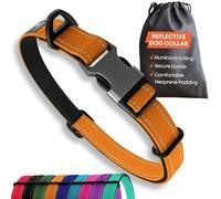 Collier Solide pour Chien de Grande Taille - Orange réfléchissant réglable rembourré - Anneau en V en Aluminium - Sécurité pour Chien