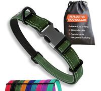 Collier Solide pour Chiens de Grande Taille - Vert réfléchissant réglable rembourré - Boucle en métal - Anneau en V en Aluminium - Sécurité pour Chien