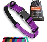 Collier Solide pour Chiens de Grande Taille - Violet réfléchissant réglable rembourré - Boucle en métal - Anneau en V en Aluminium - Sécurité pour Chien