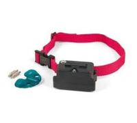 Collier pour clôture anti-fugue Petsafe pour chien