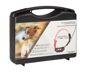 Collier supplémentaire NUM'AXES CANICOM GPS MINI Localisation 15 km Éducation bip/vibration Orange