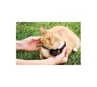 Petsafe - Collier Supplémentaire Pour Clôture Anti-Fugu Chat, 4 Niveaux De Stimulation, Léger, Réglable Et Anti-Étranglemen