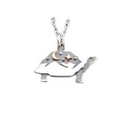 Collier tortue en argent sterling 925 avec chaîne de montagnes. Étoiles de lune en bronze. Pendentif animal totem tortue sauvage. Patience, sagesse, force | avec chaîne de 45 cm | Plaqué argent |