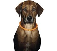 Collier tubulaire Karlie LED 70 cm, orange