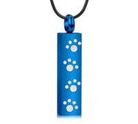 Collier urne avec empreinte de patte pour cendres pour homme et femme - Bijoux funéraires - Barre commémorative pour humain/animal de compagnie, Acier inoxydable, Pas de gemme