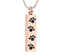 Collier urne avec empreinte de patte pour cendres pour homme et femme - Bijoux funéraires - Barre commémorative pour humain/animal de compagnie, Acier inoxydable, Pas de gemme