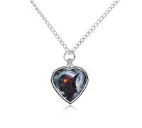 Collier urne funéraire avec pendentif en forme de cœur étanche avec kit de remplissage - Chaîne réglable de 70,1 cm - Bijou souvenir pour chien et chat - Cadeau de condoléances pour les amoureux des