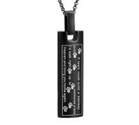 Collier urne funéraire pour cendres, animal de compagnie - Pendentif mémorial pour chien chat cendres - Médaillon pour homme et femme