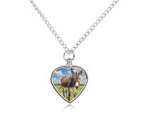 Collier urne humoristique en forme d'âne pour chien, chat, cendres, cœur, animaux domestiques, souvenir de crémation, pendentif étanche, bijoux commémoratifs, cadeaux pour femmes et hommes