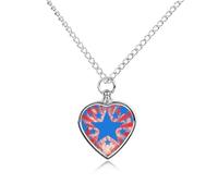 Collier urne imperméable pour chien, chat, cendres, cœur, animal domestique, souvenir de crémation du 4 juillet, pendentif commémoratif étanche, cadeau pour homme et femme