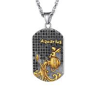 Collier Verseau Signe Astrologique Dorée 18K et en Strass Brillante-Pendentif Plaque Militaire Dog Tag Zodiaque avec Jolie Chaîne Réglable 22+2 pouces,Cadeau Anniversaire pour Garçon,Homme,Femme