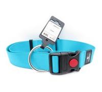 Collier Ziggi turquoise 55 -75 cm. 40 MM . taille XXL. pour chien. G