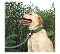 Colliers et laisses en Cuir personnalisés pour Chiens Ensembles de Colliers et de laisses personnalisés pour Animaux de Compagnie Colliers et laisses en Cuir(Brown Collar,M)